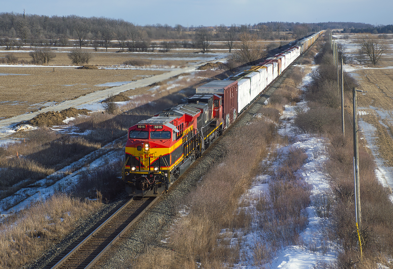 One of the two trains bringing out the foamers this day was E274 with KCS 5015 in the lead, running just ahead of Q 162 with BNSF power.