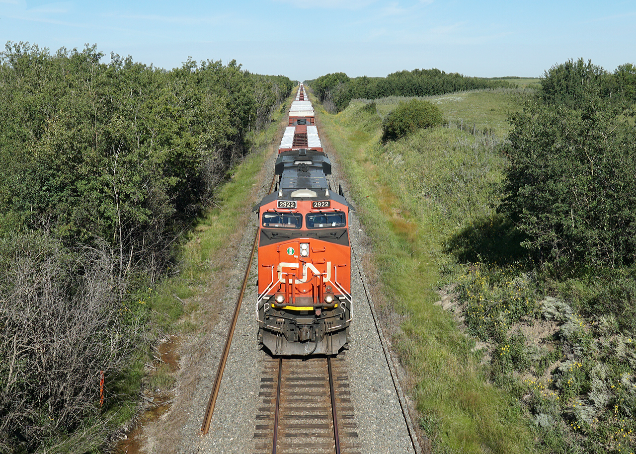 ES44AC CN 2922 heads east with a train of wrapped lumber, viewed from the Hyw 14 overbridge approaching Kinsella.