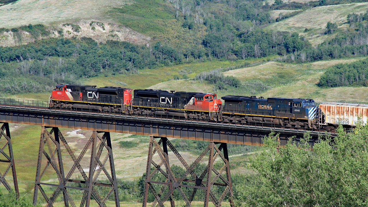 CN 8855, 8012 and BCOL 4646 head westbound onto the Battle River Trestle