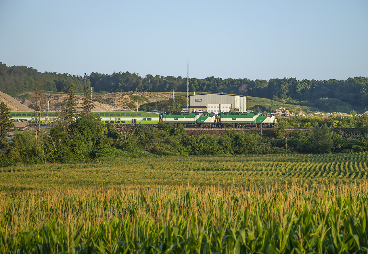 Roughly halfway through it's London to Toronto trip, GO 3710 passes one of many corn fields near Petersburg.