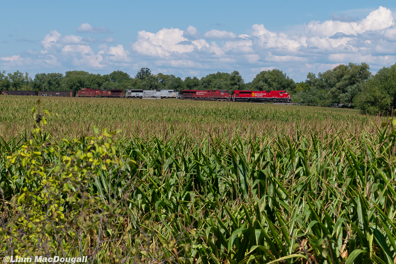 A troubled CP 420 passes through one of the few remaining cornfields left in the fast-growing urban hellscape known as Vaughan. The conductor on this train apparently had thrown his knee out from some slack at Bolton and would need to be picked up by an ambulance before the train made it to Toronto.