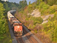 The evening's dark rainclouds split for a brief second, casting a golden glow over CN L517 as it nears MacMillan yard with a Canadian classic on point.