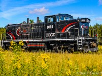 Seen amidst the goldenrod and long grasses at CN's Mission Yard in Thunder Bay, former CN GMD1 1420 (nee CN 1058) now stenciled CCGX 1011 works in Cando's employ pulling and switching grain cars for CN and CP. 