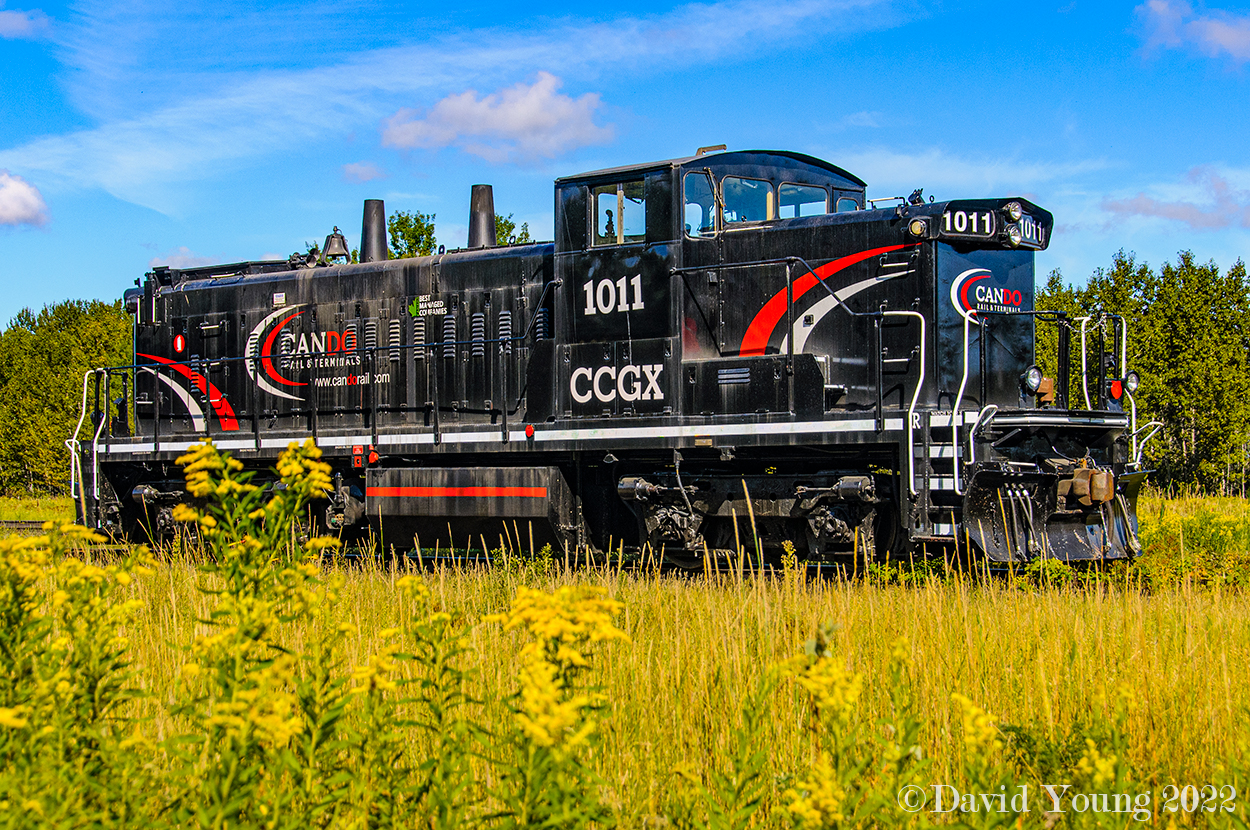 Seen amidst the goldenrod and long grasses at CN's Mission Yard in Thunder Bay, former CN GMD1 1420 (nee CN 1058) now stenciled CCGX 1011 works in Cando's employ pulling and switching grain cars for CN and CP.