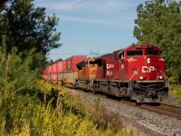 An EMD duo lead 2-132 East along the Belleville Sub on a beautiful summer morning.