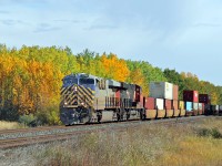 CN 2793 (ex Citicorp) and CN 2938 lead a westbound intermodal past some Fall colours at Uncas.
