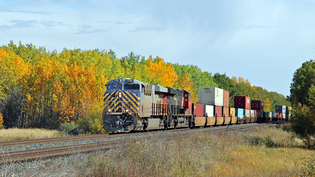 CN 2793 (ex Citicorp) and CN 2938 lead a westbound intermodal past some Fall colours at Uncas.