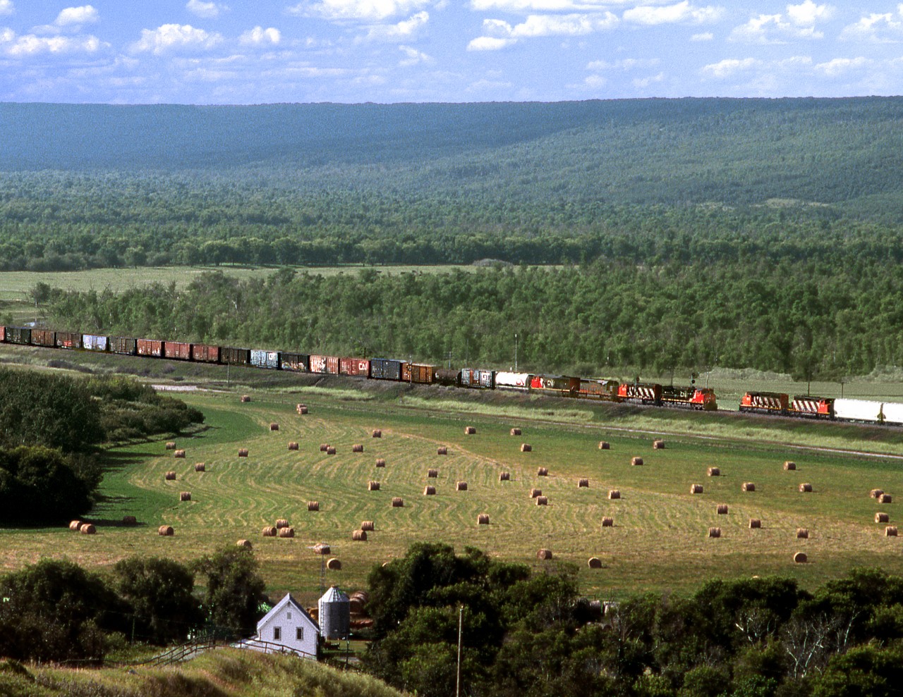 Eastbound train 360 holds the main while Westbound 313 approaches the siding at Wattsview in the Assiniboine River valley between Miniota and St. Lazare