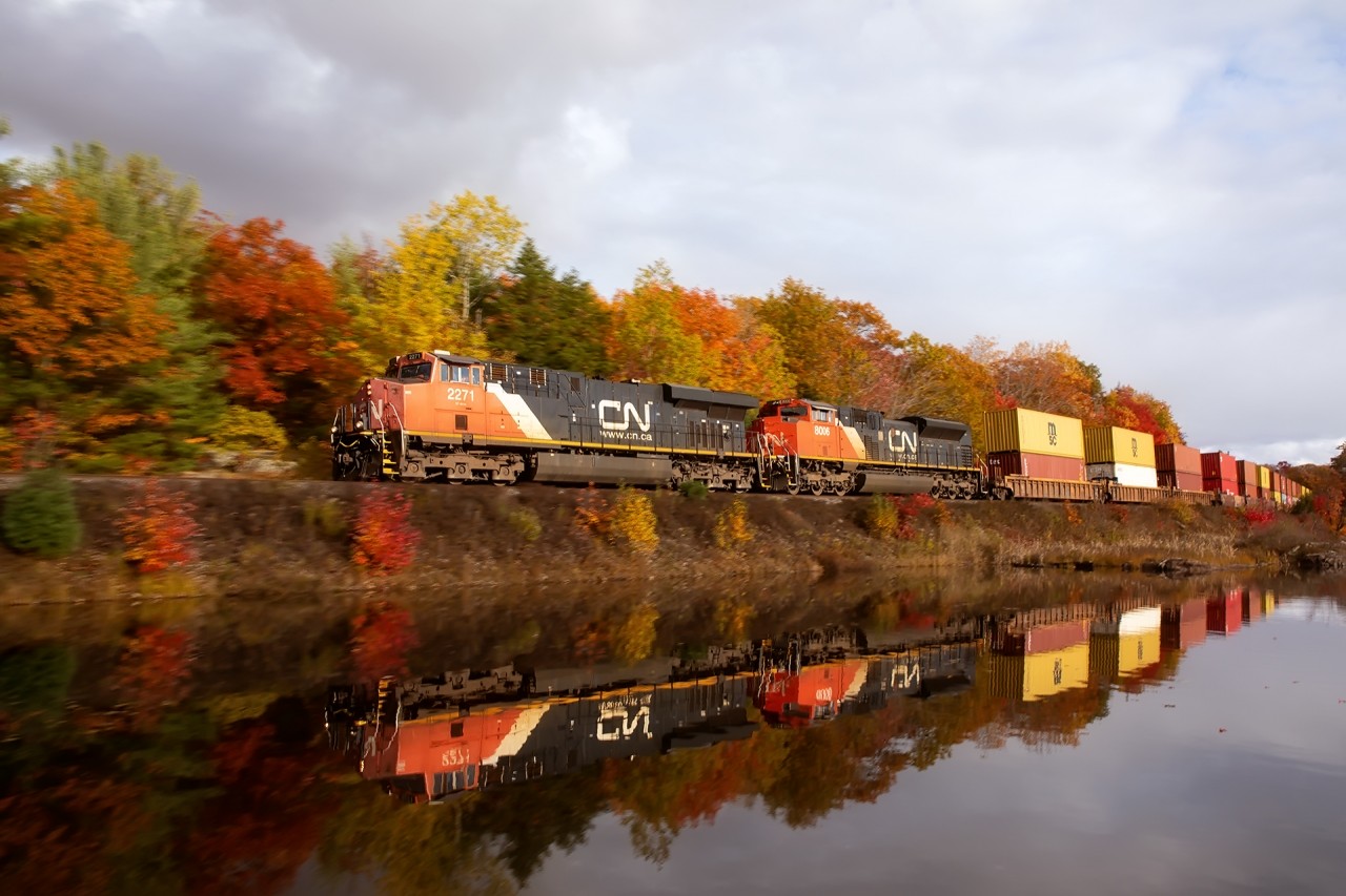 I'm not sure a picture can do justice to the fall colours this year.