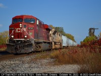 CP train #231 rolls through Belle River, Ontario on October 14, 2022 with CP GE #8740 and CP SD70ACu #7021.  The crossing signals activated as I crossed the tracks so this was a 'bail and shoot' situation that turned out reasonably well.