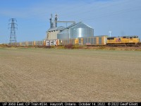 With winter wheat coming up, CP train #234 rolls by the huge AGRIS Co-op in Haycroft, Ontario with Union Pacific SD75M #3950 leading the way on October 14, 2022.