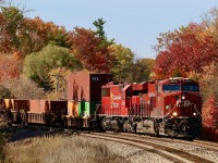 Burnt autumn colours surround a late CP 132 as it leans into the curve just west of Campbellville and prepares to descend the Niagara Escarpment. 