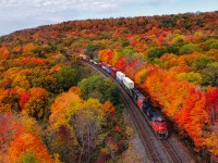 CN Z122 slowly rolls towards Bayview Junction behind CN 8013 as the fall colours of Dundas do what they do best.