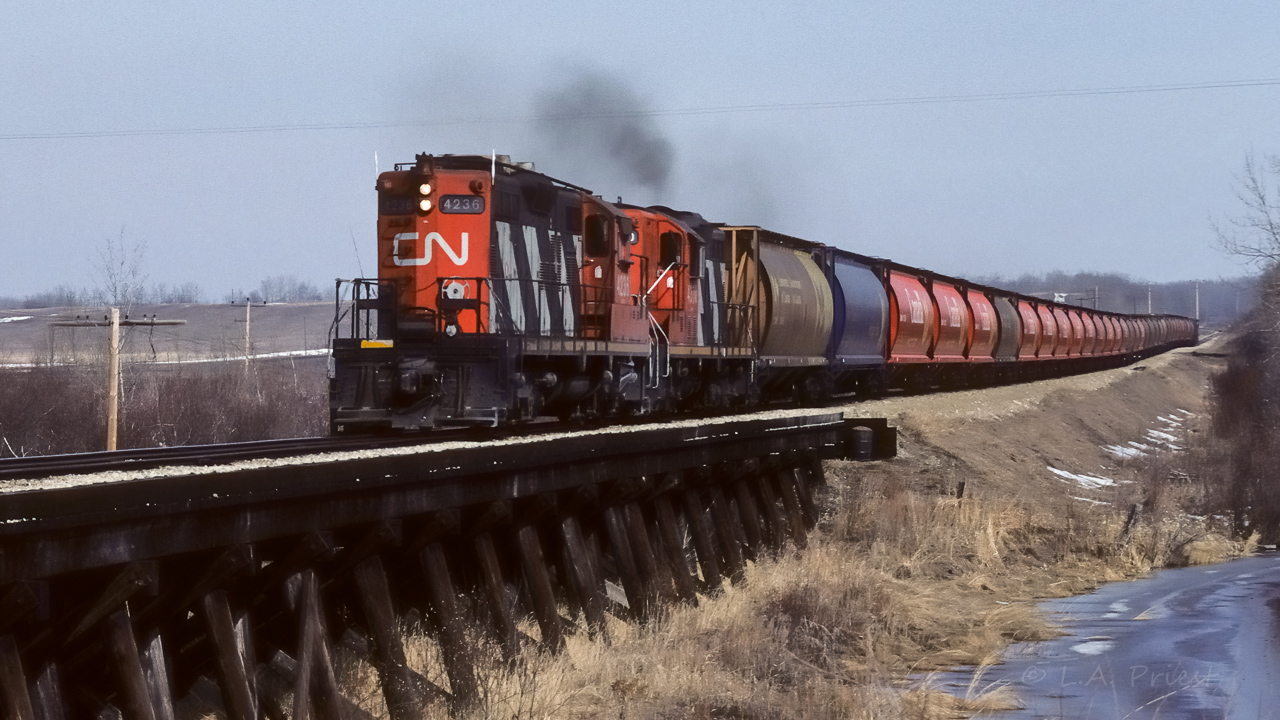 The 4236 and 4370 have 33 loads of grain to pull up the hill to Redwater and the engineer has widened the throttle to help. Cab 79836 at the rear. You really just took it for granted back then that trains did not come with graffiti.