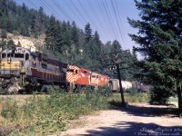 For its high horsepower second generation 6-axle power needs out west, CP looked to two builders' offerings in the mid-60's: first acquiring a group of 65 SD40 units from GMD, and later sampling 8 C630M's from MLW. Due to reliability problems with the SD40 fleet, CP looked to MLW to dieselize its coal train operations out west with an army of Locotrol-equipped M630's (and M636's for general freight use, mostly in the east).
<br><br>
But, CP eventually went back to GMD once the new SD40-2 model came out that solved reliability issues with the earlier 40's, and reliability issues with the M630's operating out west came to light. The SD40-2 became CP's standard mainline power on coal and grain trains out west for decades, and most of the MLW 6-axle units were "banished to the east" (as some would say) during the mid-70's.
<br><br>
Here, in a sort of transition period, we see CP C630M 4507 (in tattered maroon and grey paint) leading brand new CP SD40-2 5594, and M630 4512 on a manifest freight past a small park area in Glen Echo BC, sometime in 1972-1973. Both builder's models would operate together for a while, until CP loaded up on SD40-2's and had the 5800-series purchased and set up as Locotrol Master units.
<br><br>
Stan F. Styles photo, Dan Dell'Unto collection slide (duplicate).