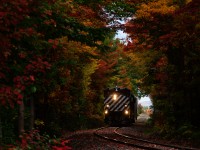 Fall colours are at their peak as the Sartigan Railway heads south through Sainte-Hélène-de-Breakeyville on this ex-Quebec Central line with a single car in tow and an ex-BCOL M420W leading.