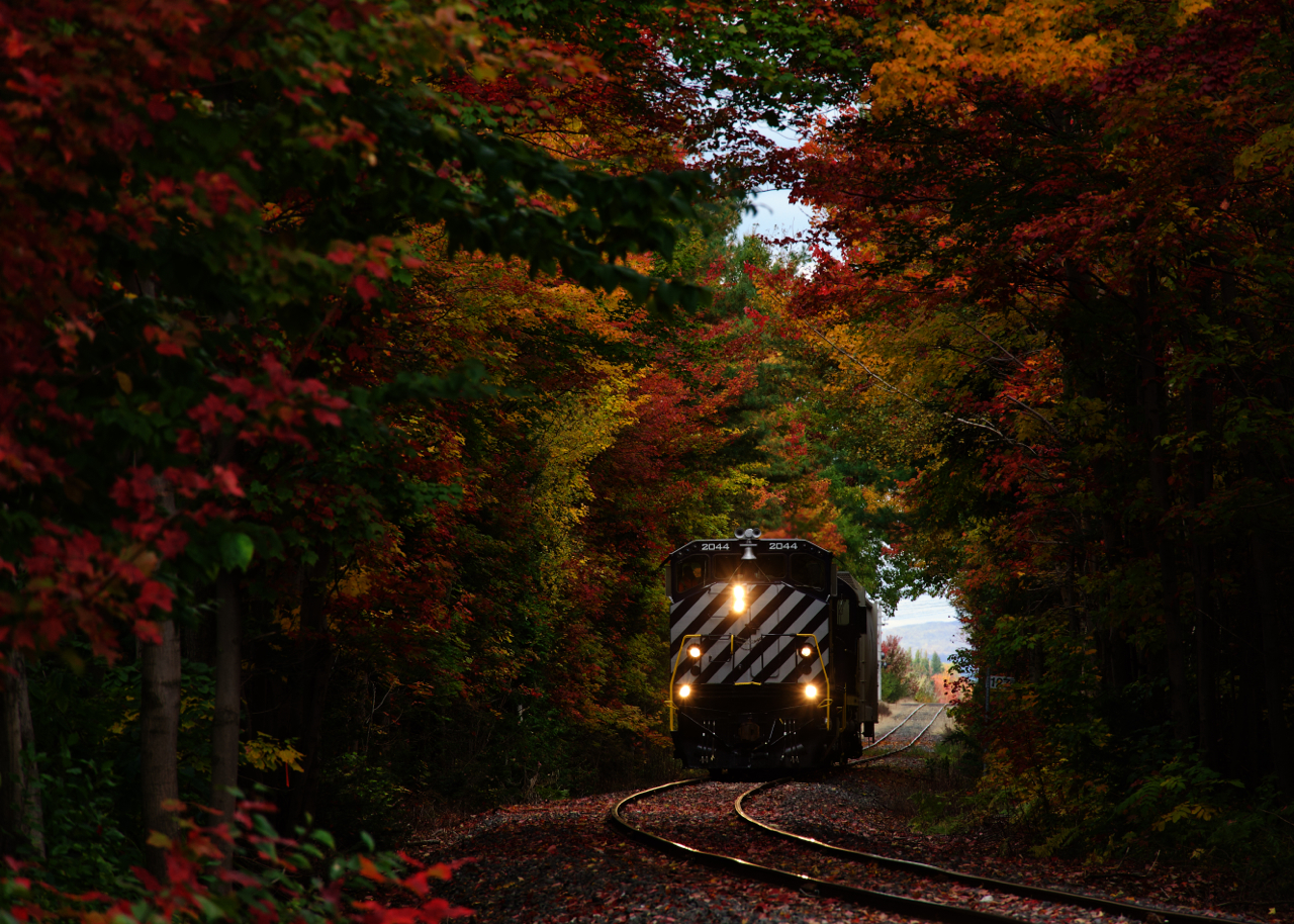 Fall colours are at their peak as the Sartigan Railway heads south through Sainte-Hélène-de-Breakeyville on this ex-Quebec Central line with a single car in tow and an ex-BCOL M420W leading.