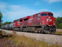 Southbound: 236-04 with CP ES44AC 8952 and CP AC4400CWM 8202 approaching Mile 23 at River Rd. on the CP Hamilton Sub on Oct 4/22.
