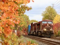 I love this curve this time of year. A pice of country in the city. Today’s 231 definitely made better time the yesterday’s, which needed two crews just to get out of Toronto. Boring dirty power at least made more exciting with the autumn colours.