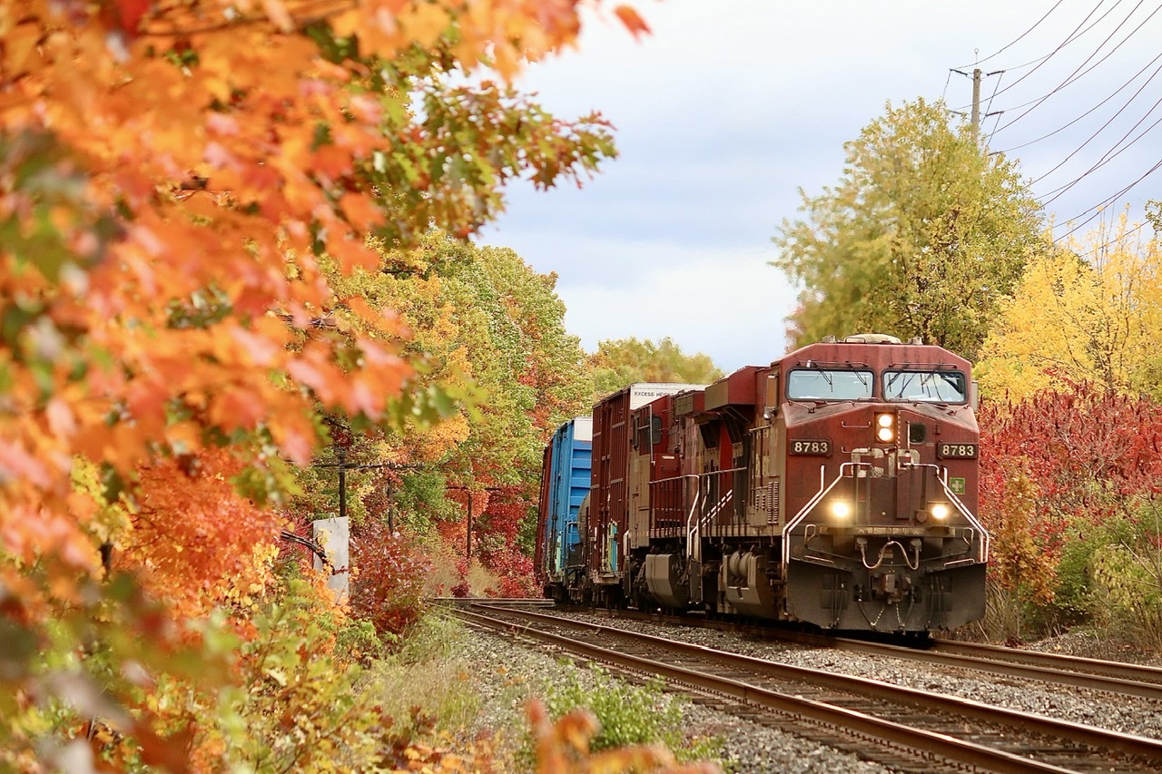 I love this curve this time of year. A pice of country in the city. Today’s 231 definitely made better time the yesterday’s, which needed two crews just to get out of Toronto. Boring dirty power at least made more exciting with the autumn colours.