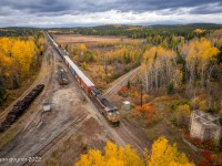 <b>Changing Times at Franz.</b> Sometime in mid-September, the diamond between the CPR and former ACR at Franz, Ontario was severed, bringing over one hundred years of railroading tradition to a sudden and ruthlessly unceremonious end. Rumored to be the result of mounting maintenance costs and a lack of business, the railway between Franz and Oba now lies dormant. Here, heavy October skies set the tone as Canadian Pacific's Montreal to Edmonton hotshot no. 119 roars through the abandoned townsite of Franz and over the recently dismantled diamond. While the future of the ACR remains uncertain, Watco, the new operator of the line, has assured that a "One Way Low Speed" diamond is to be re-installed sometime in the new year when traffic is anticipated to resume. 
