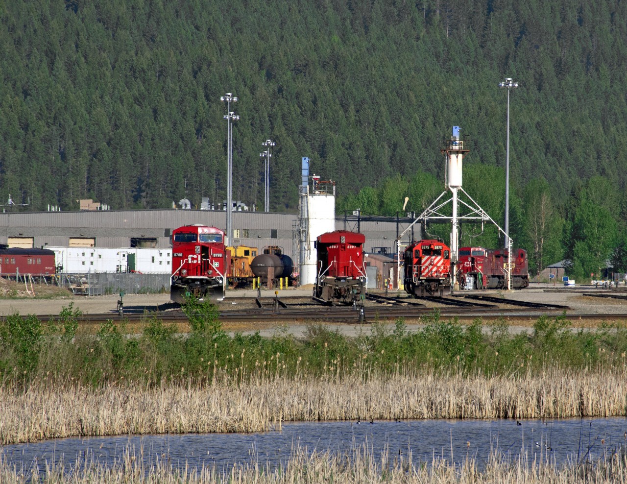 Various power sits on the ready tracks in Golden's south yard. The large building behind is the car shop where all coal cars are maintained. In the mid 80's CP required a large yard for servicing its unit coal trains from the Crowsnest Pass. They built it about a mile south of Golden on the Windermere sub. also building a bypass on the west side of the town allowing abandonment of the portion of the "Windy" that ran through downtown Golden.