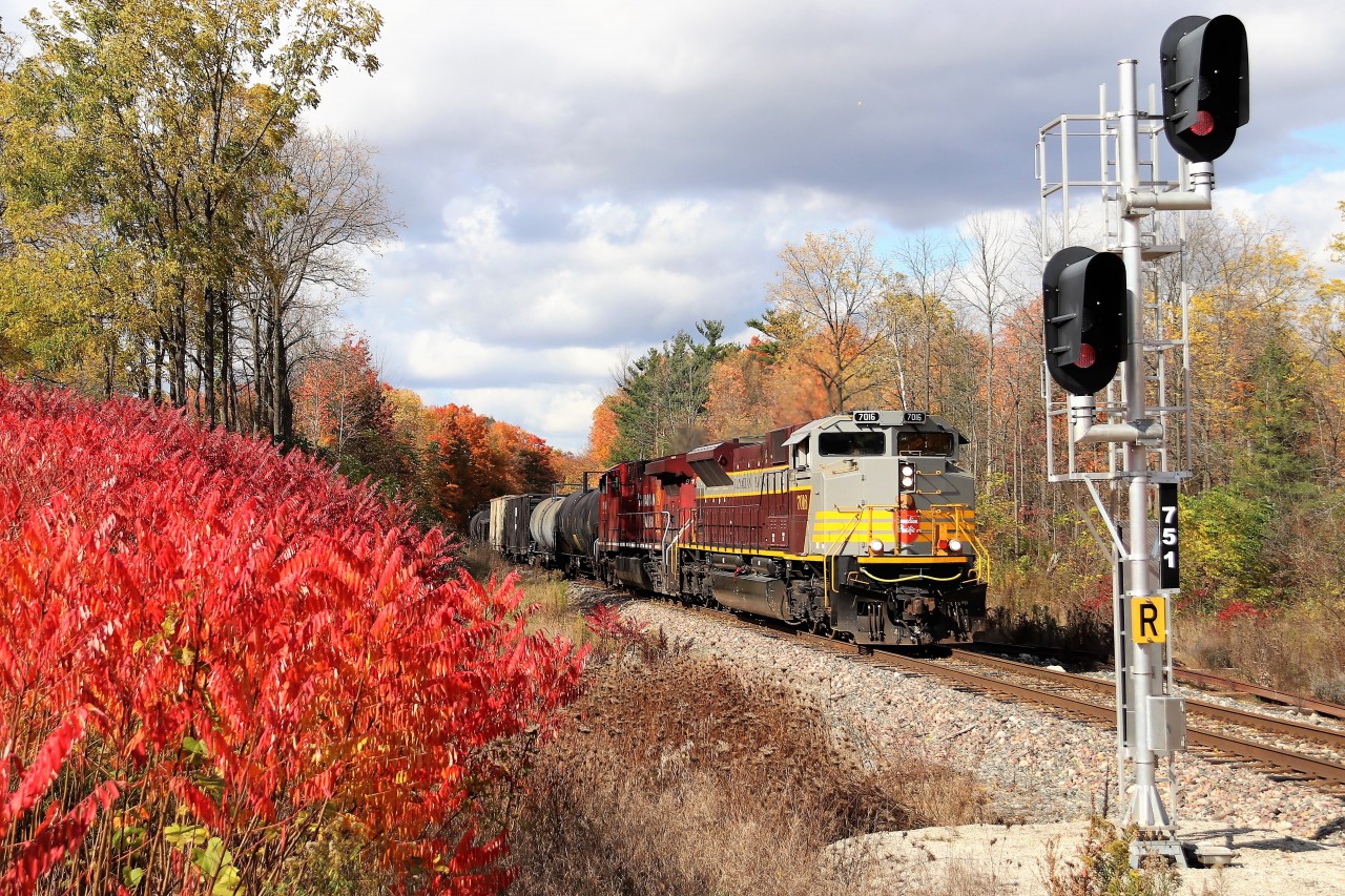 I had been staking this spot out for a few weeks, waiting for the sumacs to glow and the leaves to change and of course, something other than the usual dirty CP leader. Today, most of it came to be. Our friends at CP finally put SD70ACu, heritage engine CP 7016 on the nose. All decked out in its block lettered paint scheme, the former CP 9140 leads CP 8140 out of Campbellville south down the Hamilton sub on its way for a stop at Kinnear Yard. Even the sun gods aided as the clouds parted just before its arrival.