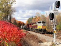 I had been staking this spot out for a few weeks, waiting for the sumacs to glow and the leaves to change and of course, something other than the usual dirty CP leader. Today, most of it came to be. Our friends at CP finally put SD70ACu, heritage engine CP 7016 on the nose. All decked out in its block lettered paint scheme, the former CP 9140 leads CP 8140 out of Campbellville south down the Hamilton sub on its way for a stop at Kinnear Yard. Even the sun gods aided as the clouds parted just before its arrival.