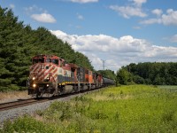 Train 501 is seen here highballing at Scotchmere Drive, just outside of Strathroy, Ontario.  501 started out in Garnet Yard, south of Hagersville.  It took nearly no time at all getting through to London.  The lead unit was the main attraction for this train that day.  BCOL 4644 is one of three remaining active GE C44-9WL locomotives from the original BC Rail roster, and one of two active in the original paint scheme.  The rock lights were activated on this trip, which can be a rare sight in 2022 - however no longer sporting it's K5L horn.  With the recent retirement of the Dash 8 series, these Canadian cab units can be considered the elders of the six axle CN fleet now.  And with the AC44C6M project rumored to be starting soon, get your photos of the originals while you can.