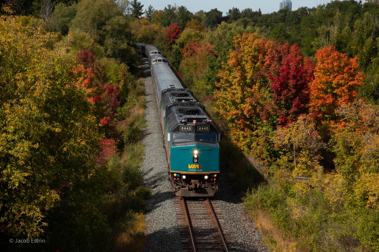 VIA 1 makes its way down the Don Valley through some nice fall colours.
