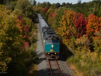 VIA 1 makes its way down the Don Valley through some nice fall colours.
