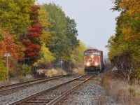 CN 5663 leads train 301 westbound at Stewardson Sideroad with some nice fall colours.