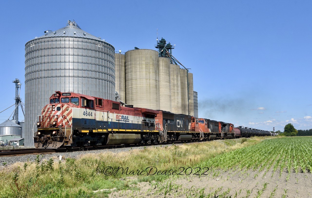 BCOL 4644 leads train 501 west on the Strathroy Sub past the elevators at Wanstead Sideroad just east of Wyoming, ON.