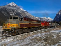 CP 7013 guides train 301 into historic Field, BC on Remembrance Day 2022.  After a crew change and a meet, 301 will head out onto the Mountain Sub, following the Kicking Horse River to Golden before climbing Rogers Pass.