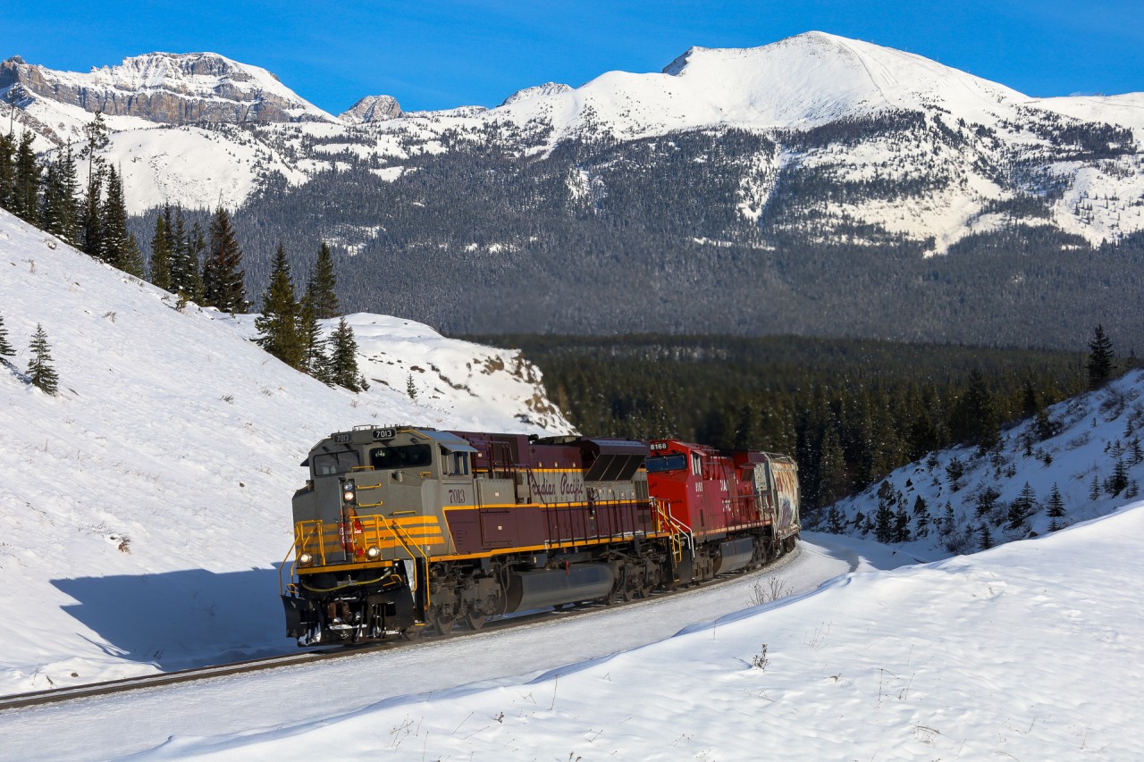 CP 7013, wearing the attractive Script scheme, battles gravity as they inch a unit train of Prairie Grain towards the Continental Divide.  After conquering the grade, CP 301 will cross the border into British Columbia and descend the Big Hill, through the Spiral Tunnels and into Field, BC for a crew change.
