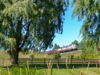 CP's classy Business Train thunders south through the rolling farmlands of New Tecumseth, ON on its way to a golf tournament in Ottawa. CP executives and CEO Keith Creel will board the train in Toronto and ride it to the capital.