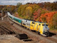 VIA 72 seen passing some fall colours in Hamilton.