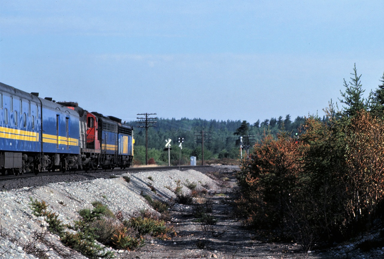 VIA train 3, the Super Continental, looks at a clear signal through the trees as it approaches Milnet, Ontario on August 1, 1981.  Power for the 15 car train is VIA 6531-6617-CN 4105.

The approaching shot can be seen here: http://www.railpictures.ca/?attachment_id=46484