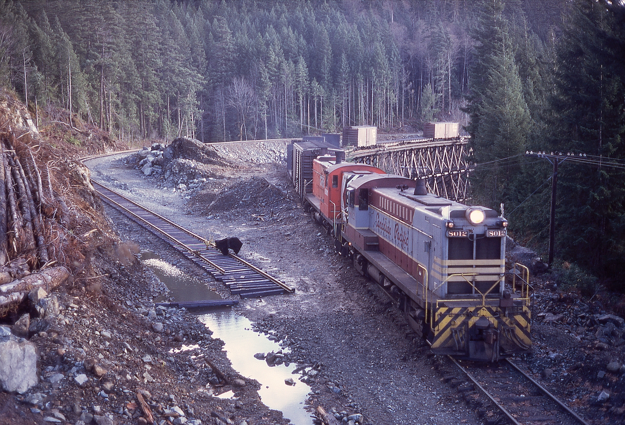 On Vancouver Island, CP’s E&N division operated a branch westward from Parksville to Port Alberni, with numerous wood trestle bridges due to the mountainside terrain.  Two large ones were just east of Stokes, 14 rail miles east of Port Alberni, and maintenance expenses and fire risks prompted bypasses on curved and culverted fills in 1971.  Here at mileage 24.4 immediately east of Stokes siding, Baldwins 8012 and 8001 ease a westward train across the bridge over Four Mile Creek, with the new grade and track approaching readiness for connection and service.

Only a few photos of 8012 are in my collection, as befitting its thirteenth status in the fleet it was the first to expire, due to an electrical fire on 1973-02-19 on the severe upgrade a few miles east and on a similar westward run as in the photo.