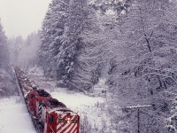 On Vancouver Island, CP’s E&N Division hauled logs for Crown Zellerbach’s Nitinat Logging Division from Lake Cowichan east 18 miles to Hayward then north 17 miles to the CZ log dump into Ladysmith harbour.  On Tuesday 1980-01-08, that assignment was handled by GP9s 8689 and 8530, seen here eastward in fresh snow on the outskirts of Duncan about to duck under Cowichan Lake Road and carefully descending the grade with a bit less than one mile to the junction switch at Hayward.

<p>Note the white Extra flags on 8689 are angled outwards, a pleasing departure from the standard straight-up display on most CP GP9s, also standard on TH&B GP7s 71 to 77 and SOO SD40-2s 6615 to 6623.

<p>A very Merry Christmas to all.