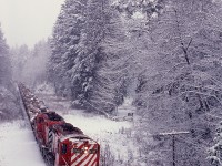 On Vancouver Island, CP’s E&N Division hauled logs for Crown Zellerbach’s Nitinat Logging Division from Lake Cowichan east 18 miles to Hayward then north 17 miles to the CZ log dump into Ladysmith harbour.  On Tuesday 1980-01-08, that assignment was handled by GP9s 8689 and 8530, seen here eastward in fresh snow on the outskirts of Duncan about to duck under Cowichan Lake Road and carefully descending the grade with a bit less than one mile to the junction switch at Hayward.

<p>Note the white Extra flags on 8689 are angled outwards, a pleasing departure from the standard straight-up display on most CP GP9s, also standard on TH&B GP7s 71 to 77 and SOO SD40-2s 6615 to 6623.

<p>A very Merry Christmas to all.