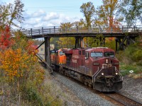 A southbound CP stack train blasts under the 9th Line wooden bridge near Beeton, Ontario on a windy October day. After a closure for repairs, it was thought the nostalgic road bridge would be replaced but it was soon repaired and re-opened for the near future. Infrastructure like this is becoming less and less common, so shoot it while it lasts!