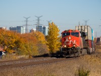CN 121 makes a wide turn around a bush at mile 15 of the CN York sub with ES44AC 2850 solo up front. The fall colours were exceptional this year, with even the average tree or bush displaying vibrant colour. 