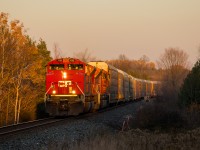 CP 7006 & CP 7042 team up to pull a dozen & a half autoracks back from Oshawa where they were loaded at the GM plant. Thankfully, the sun held above the trees till the very last possible moment, engulfing the locomotives in a brilliant golden light before disappearing for the evening. H19 always arrives back in Toronto at night now, I cannot wait for this to become a daylight train again in the spring. 