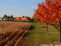GEXR 582 is struggling up grade at Arkell as they tow about 25 cars south toward Guelph Junction on a beautiful fall day with foliage in the area at their peak of browns and reds.
