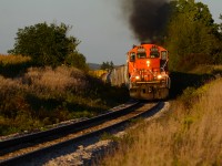 In the last few minutes of proper lighting, CN 4028 with it's spark arrestors visible throttles up around the curve at mile 77 Guelph Sub with train 568 after switching out Nachurs Alpine about 4 miles east of here. 