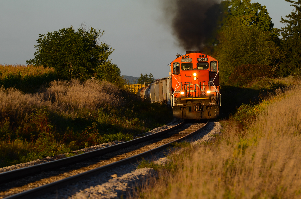 In the last few minutes of proper lighting, CN 4028 with it's spark arrestors visible throttles up around the curve at mile 77 Guelph Sub with train 568 after switching out Nachurs Alpine about 4 miles east of here.