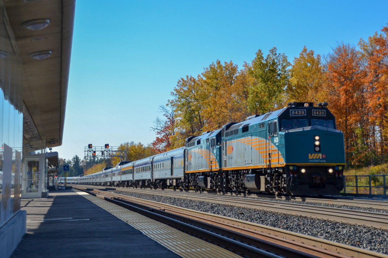 VIA #1 "The Canadian" crawls past the platform at Bloomington GO on a sunny October morning as the vibrant fall colours in the background begin to fall. Unseen in this image is the empty coach tacked on to the timeless Park car at the end of the train, a new practice for VIA after Transport Canada deemed their Budd coaches "not structurally sound".