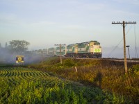 GO 3710 behind its usual pair of GMD F59PHs cuts through the morning fog approaching New Hamburg.