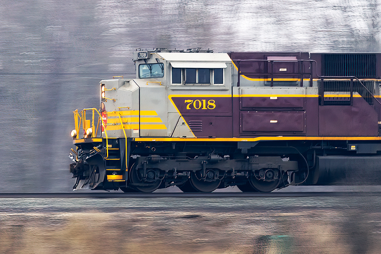 Even on a grey day, it's always a treat when they lead.